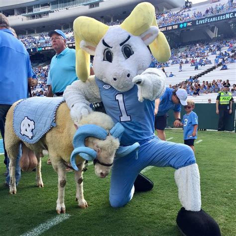 The Uncanny World of Mascot Rituals and Traditions at UNC